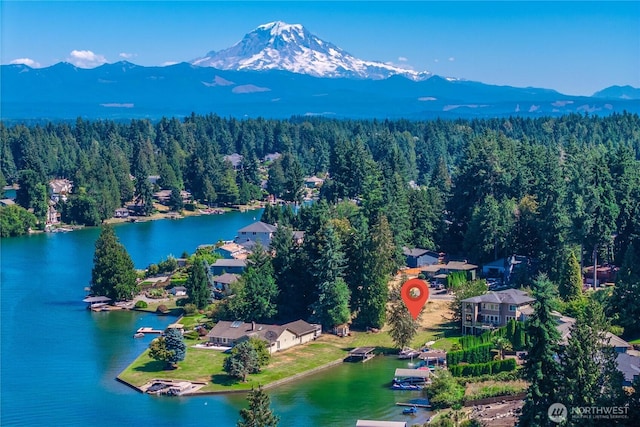 4739 Lakeridge Dr E, Bonney Lake, WA 98391 - photo 3
