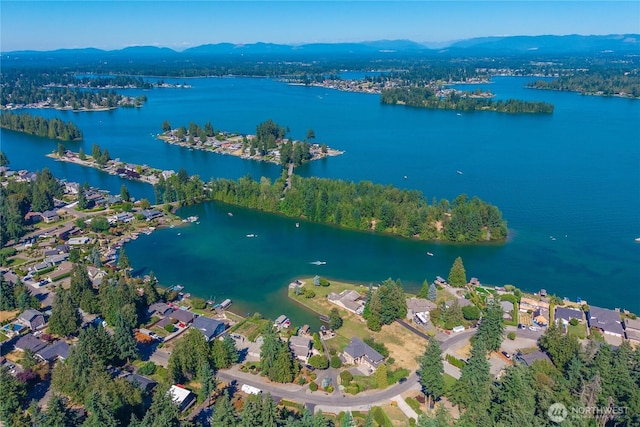 4739 Lakeridge Dr E, Bonney Lake, WA 98391 - photo 4