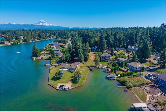 4739 Lakeridge Dr E, Bonney Lake, WA 98391 - photo 8