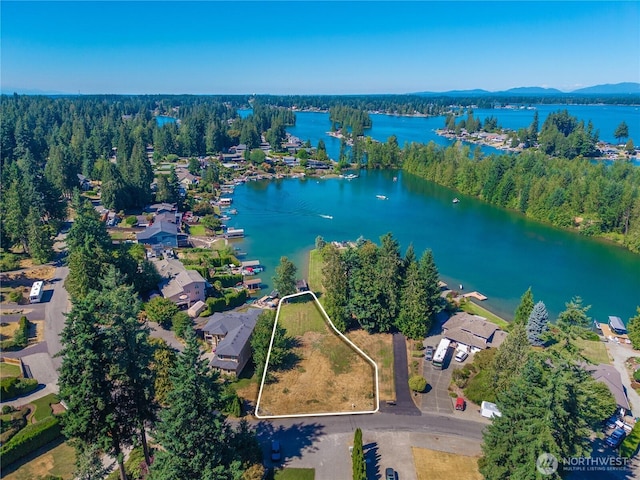 4739 Lakeridge Dr E, Bonney Lake, WA 98391 - photo 21