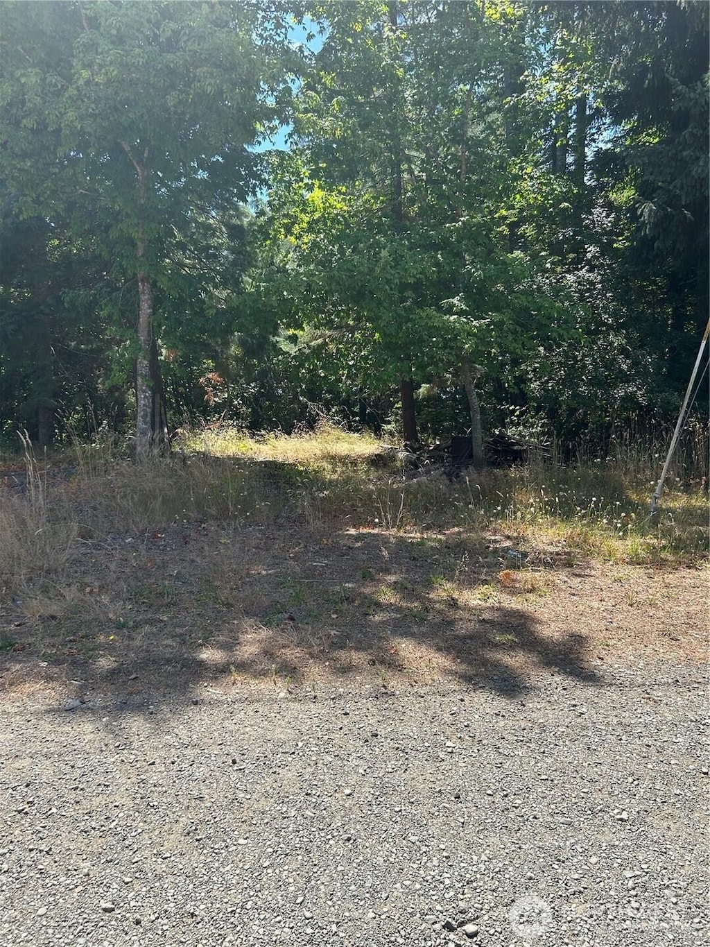 0 Hazel St, Shelton, WA 98548 - photo 2