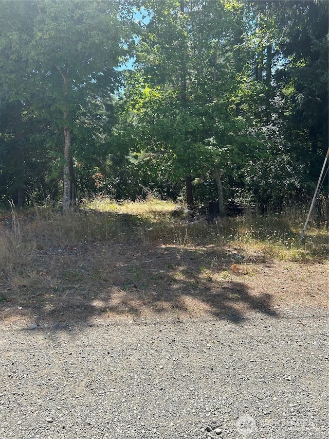 0 Hazel St, Shelton, WA 98548 - photo 2
