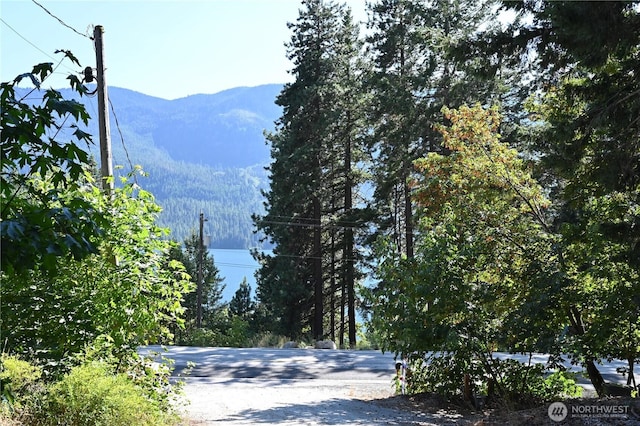 23140 Lake Wenatchee Hwy, Leavenworth, WA 98826 - photo 1