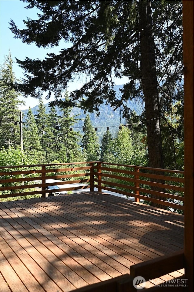 23140 Lake Wenatchee Hwy, Leavenworth, WA 98826 - photo 6