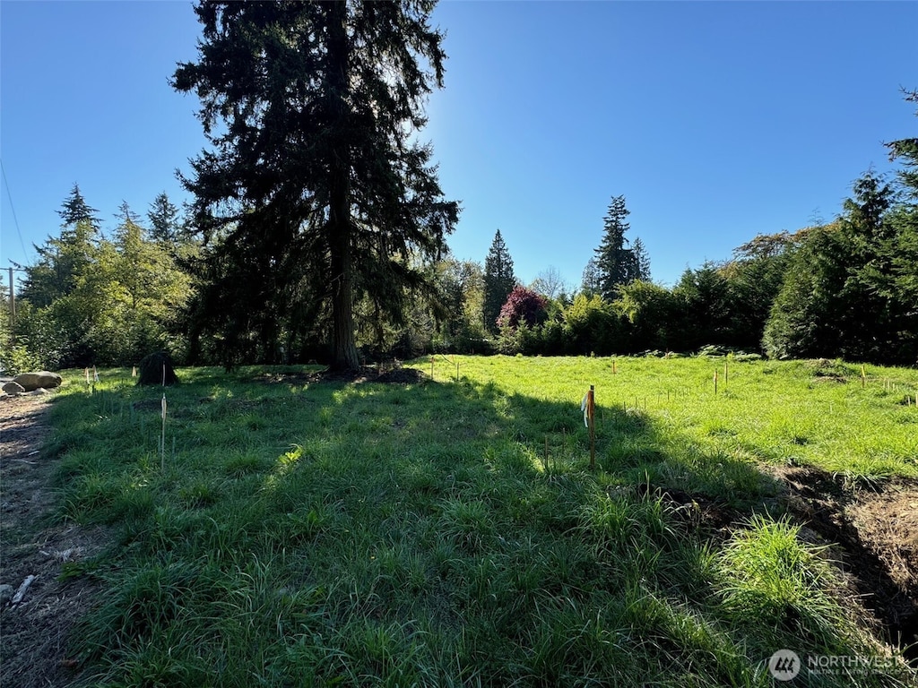 36829 52nd Ave S, Auburn, WA 98001 - photo 3
