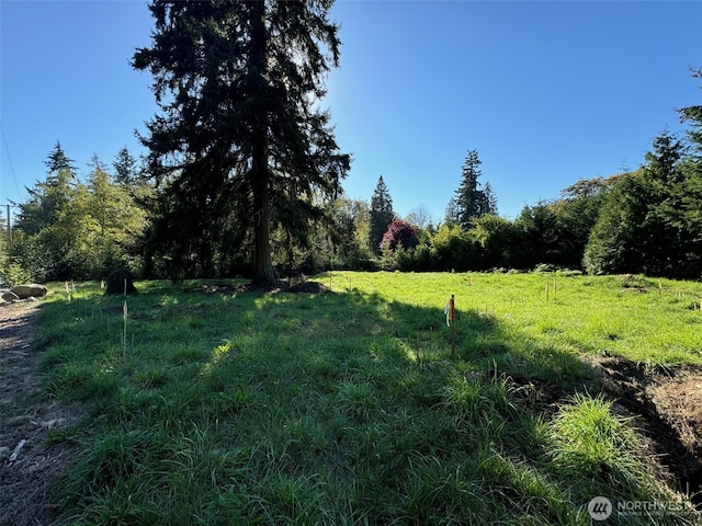 36829 52nd Ave S, Auburn, WA 98001 - photo 3
