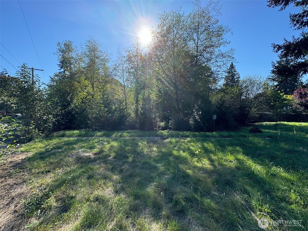 36829 52nd Ave S, Auburn, WA 98001 - photo 4