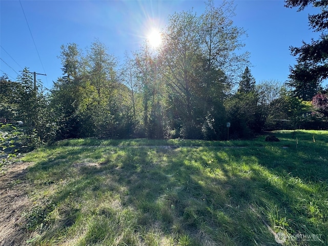 36829 52nd Ave S, Auburn, WA 98001 - photo 4