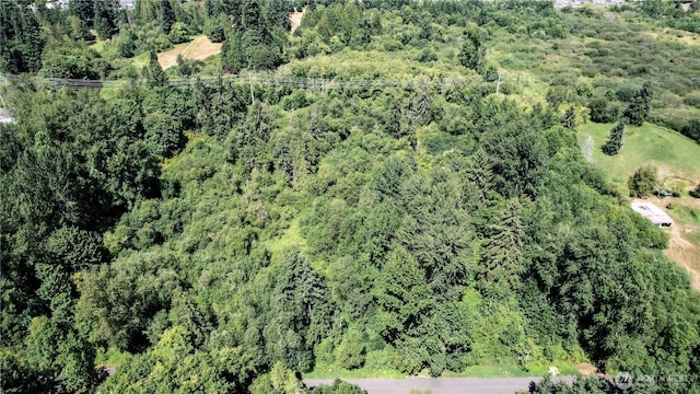 1311 214th St SE, Bothell, WA 98021 - photo 28