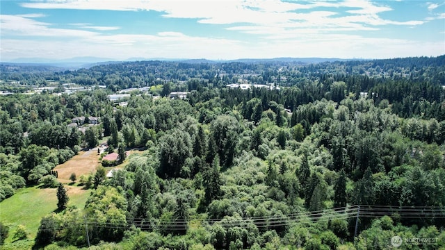 1311 214th St SE, Bothell, WA 98021 - photo 29