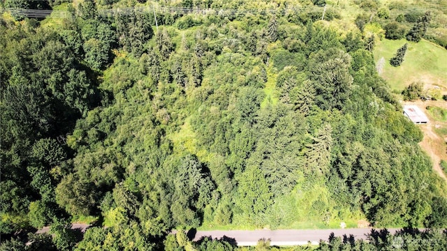 1311 214th St SE, Bothell, WA 98021 - photo 27