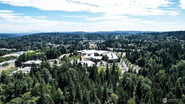 1311 214th St SE, Bothell, WA 98021 - photo 33