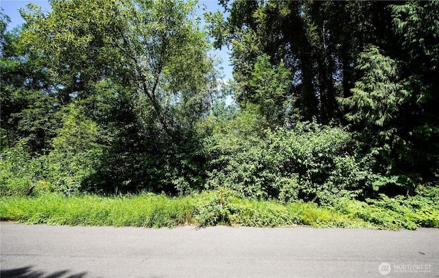 1311 214th St SE, Bothell, WA 98021 - photo 14