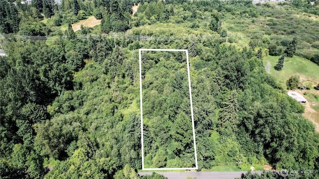 1311 214th St SE, Bothell, WA 98021 - photo 24