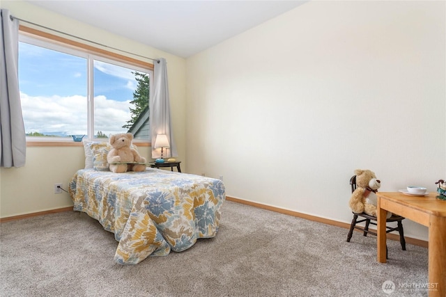 4240 Wintergreen Ln Unit 131, Bellingham, WA 98226 - photo 18