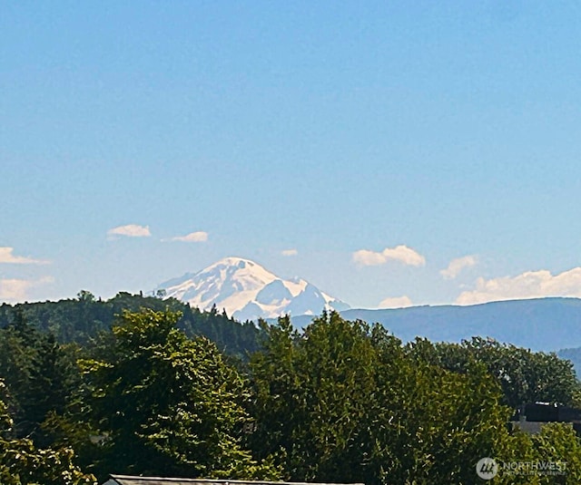 4240 Wintergreen Ln Unit 131, Bellingham, WA 98226 - photo 1