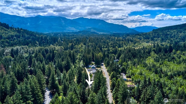 172 Sprague Valley Dr, Maple Falls, WA 98266 - photo 27