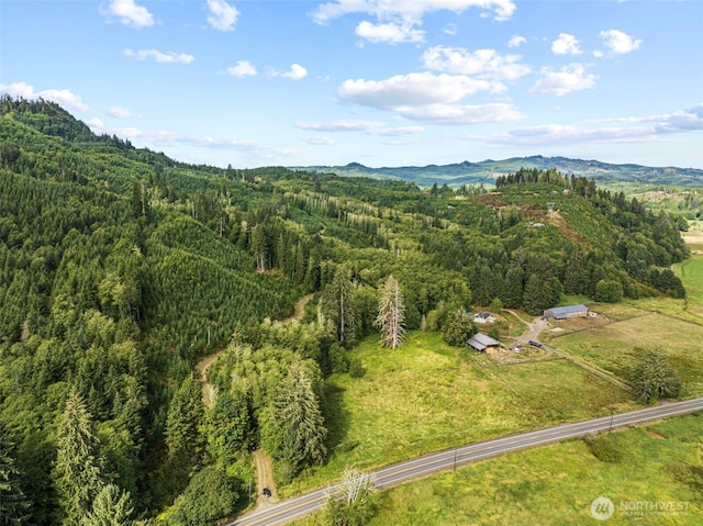 1LOTA State Route 4th Hwy, Skamokawa, WA 98647 - photo 1