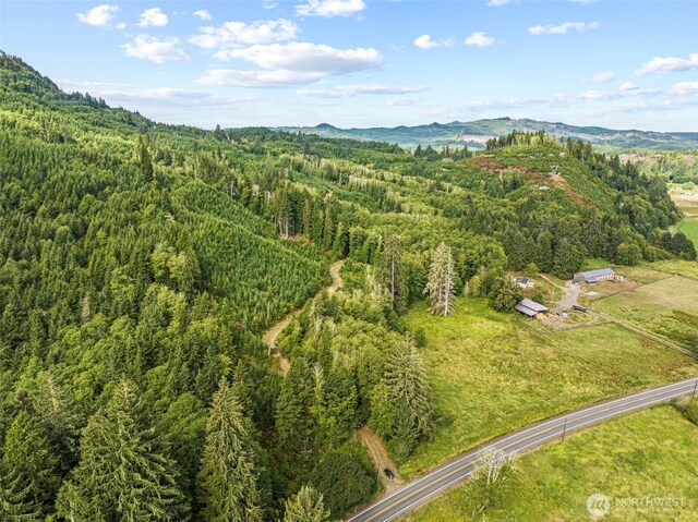 1LOTA State Route 4th Hwy, Skamokawa, WA 98647 - photo 3