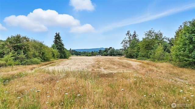 1596 Ferrier Rd, Winlock, WA 98596 - photo 14