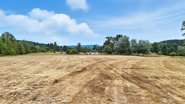 1596 Ferrier Rd, Winlock, WA 98596 - photo 15