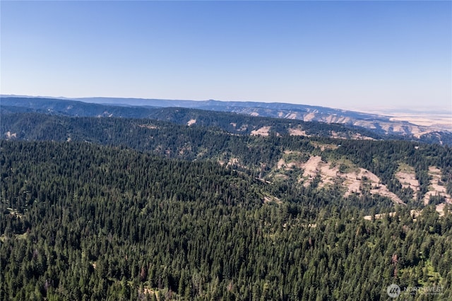 9305 Lewis Peak Rd, Dixie, WA 99329 - photo 17