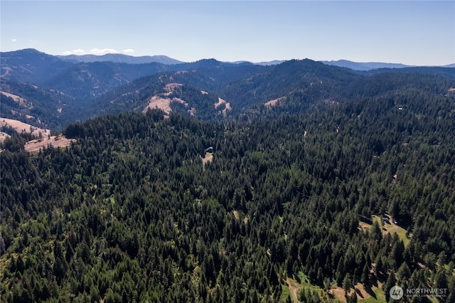 9305 Lewis Peak Rd, Dixie, WA 99329 - photo 18
