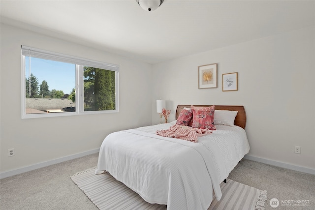 1211 E Gilkey Rd, Burlington, WA 98233 - photo 21