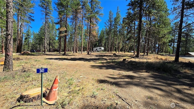 341 Teanaway Ridge Way, Cle Elum, WA 98922 - photo 3