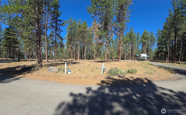 341 Teanaway Ridge Way, Cle Elum, WA 98922 - photo 6