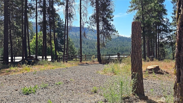 341 Teanaway Ridge Way, Cle Elum, WA 98922 - photo 9