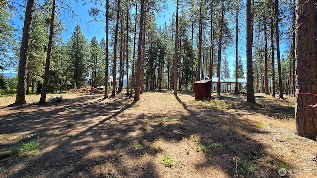 341 Teanaway Ridge Way, Cle Elum, WA 98922 - photo 11