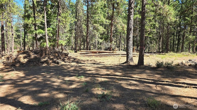341 Teanaway Ridge Way, Cle Elum, WA 98922 - photo 15
