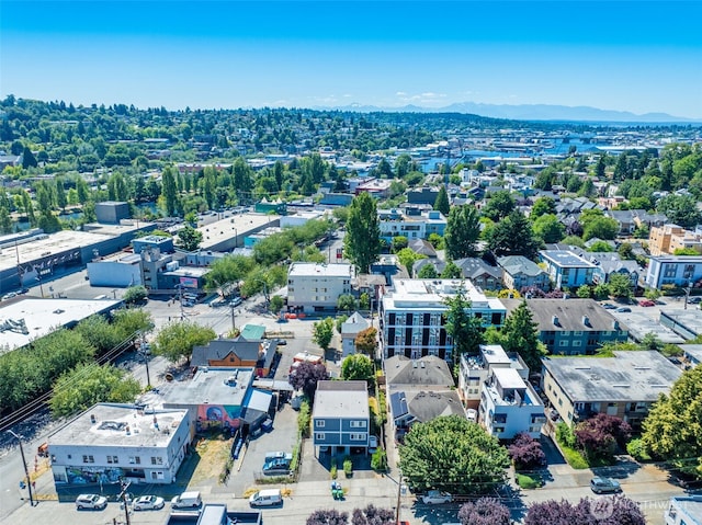 3617 Francis Ave N, Seattle, WA 98103 - photo 8