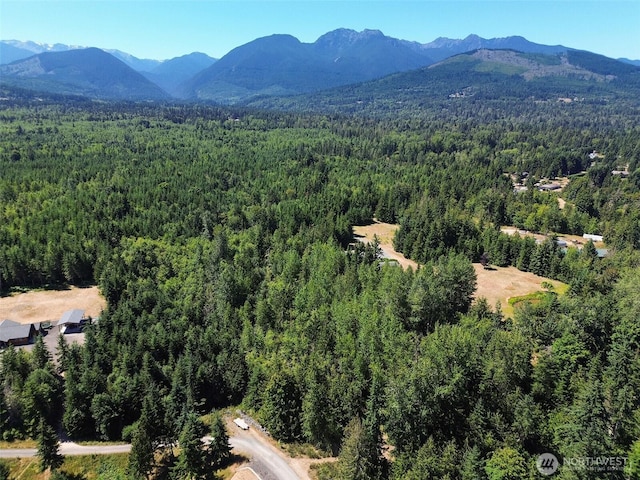999 S Bagley Creek Prt, Angeles, WA 98362 - photo 1