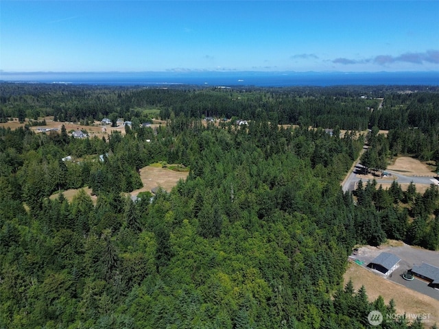 999 S Bagley Creek Prt, Angeles, WA 98362 - photo 4