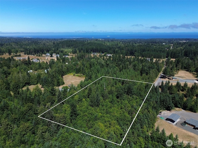 999 S Bagley Creek Prt, Angeles, WA 98362 - photo 5