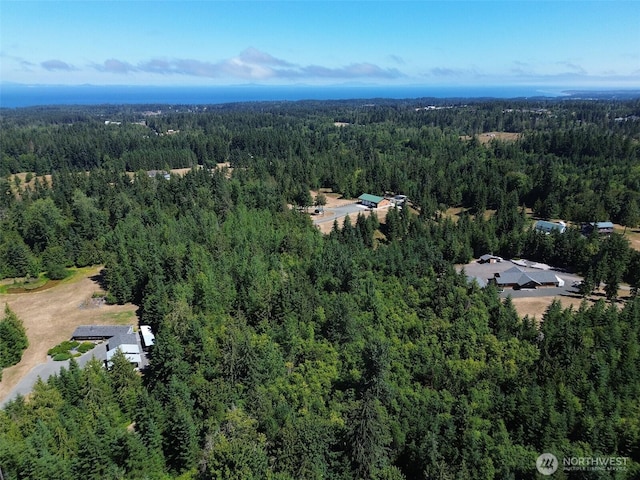 999 S Bagley Creek Prt, Angeles, WA 98362 - photo 6