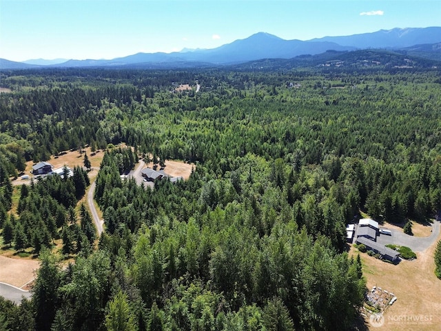 999 S Bagley Creek Prt, Angeles, WA 98362 - photo 7