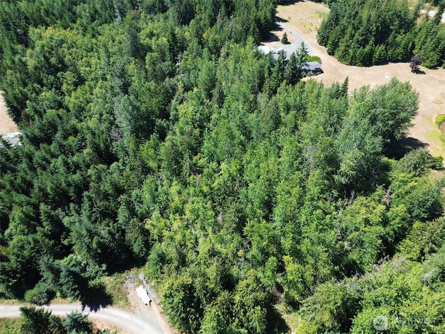 999 S Bagley Creek Prt, Angeles, WA 98362 - photo 8