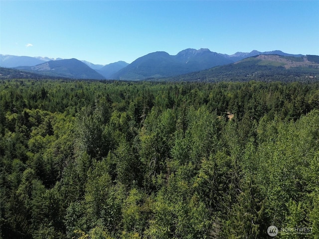 999 S Bagley Creek Prt, Angeles, WA 98362 - photo 9