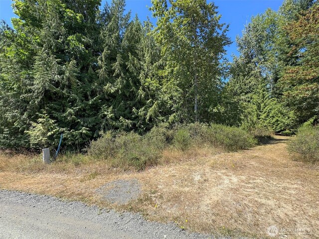 999 S Bagley Creek Prt, Angeles, WA 98362 - photo 11