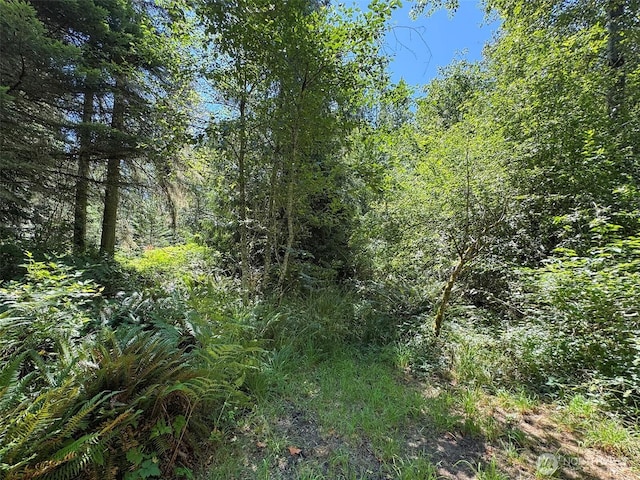 999 S Bagley Creek Prt, Angeles, WA 98362 - photo 12