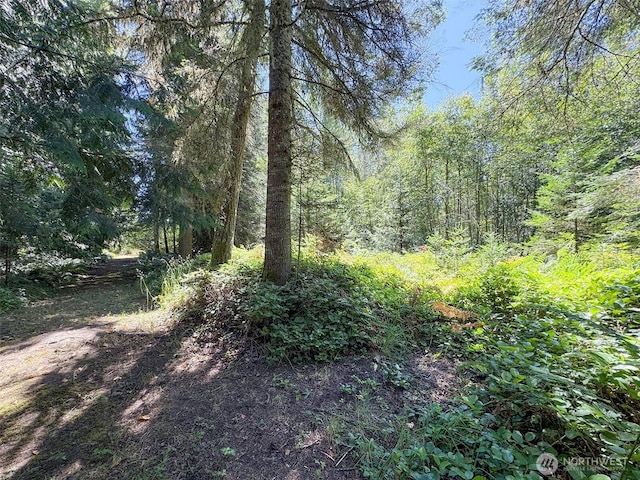 999 S Bagley Creek Prt, Angeles, WA 98362 - photo 14