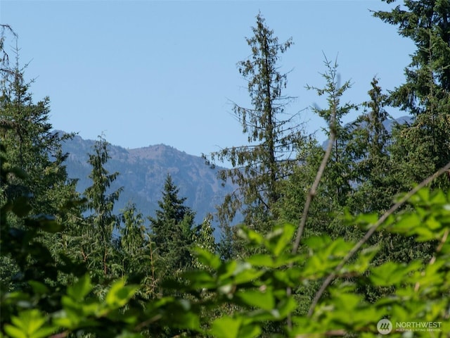 999 S Bagley Creek Prt, Angeles, WA 98362 - photo 16