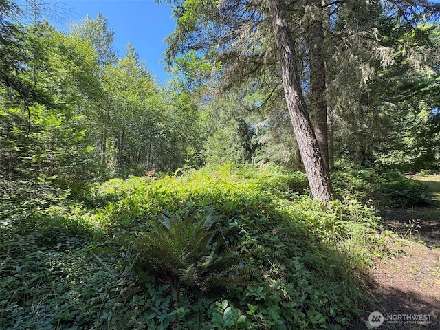 999 S Bagley Creek Prt, Angeles, WA 98362 - photo 17