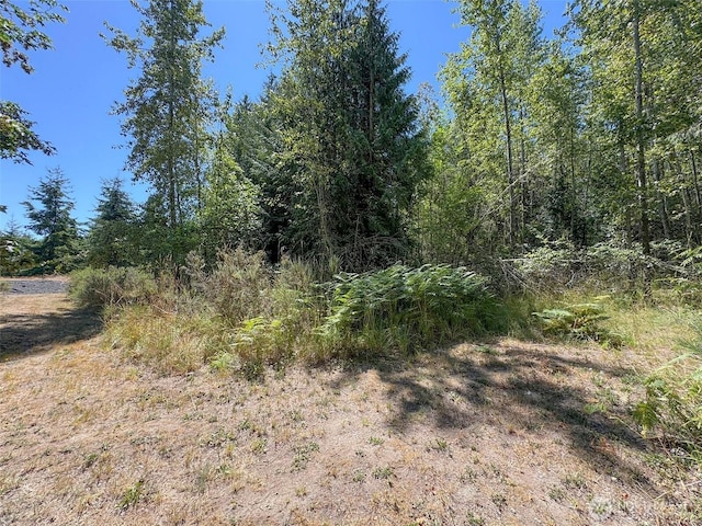 999 S Bagley Creek Prt, Angeles, WA 98362 - photo 18