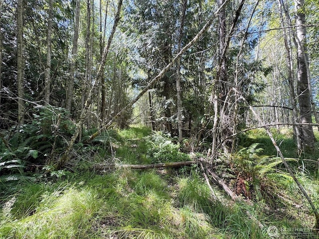 999 S Bagley Creek Prt, Angeles, WA 98362 - photo 19