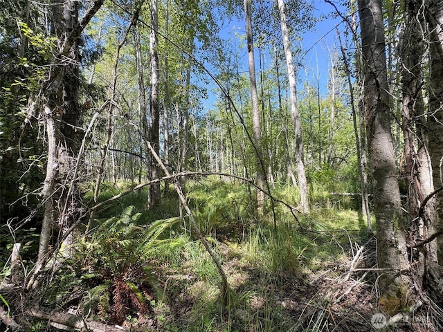 999 S Bagley Creek Prt, Angeles, WA 98362 - photo 20