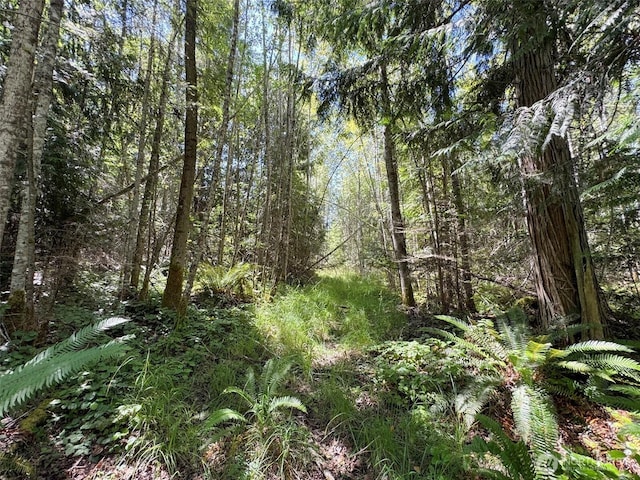 999 S Bagley Creek Prt, Angeles, WA 98362 - photo 21